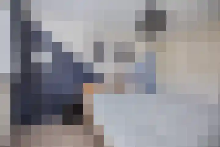 Wijdenesstraat 15 Breda thumbnail 33