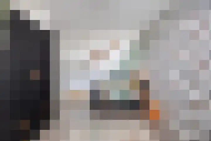 Wijdenesstraat 15 Breda thumbnail 36