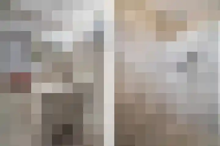 Wijdenesstraat 15 Breda thumbnail 38