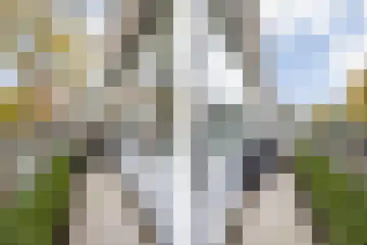 Wijdenesstraat 15 Breda thumbnail 40