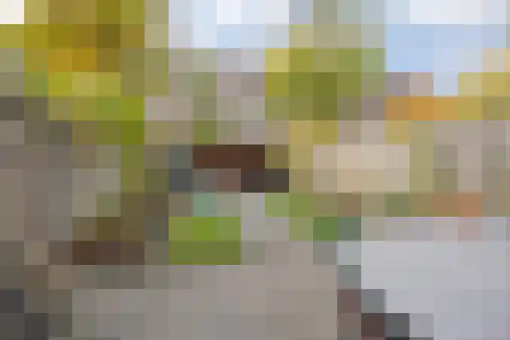 Wijdenesstraat 15 Breda thumbnail 42