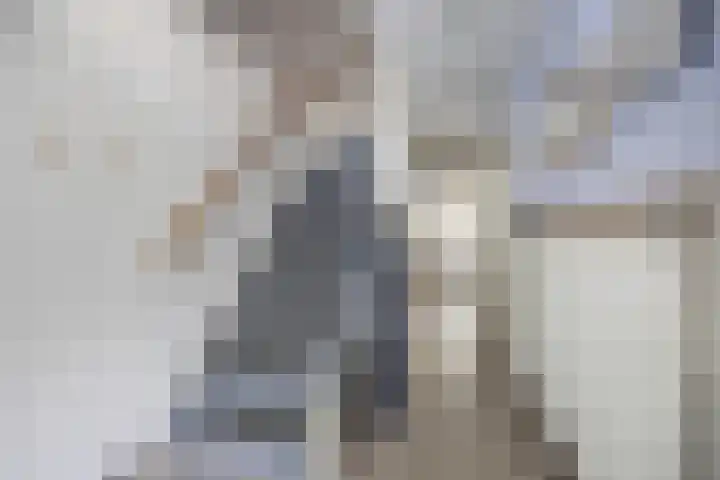 Wijdenesstraat 15 Breda thumbnail 7
