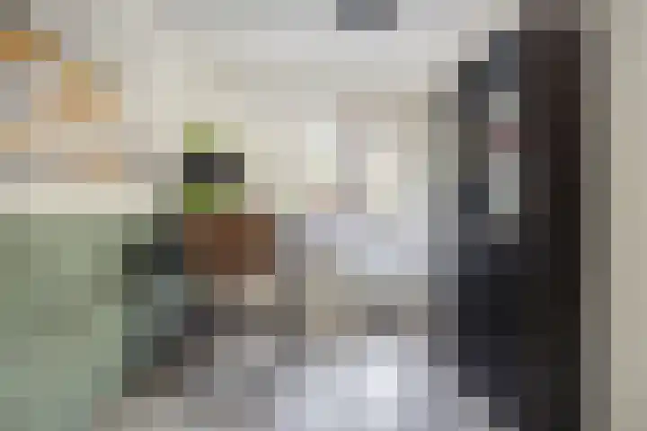 Wijdenesstraat 15 Breda thumbnail 8