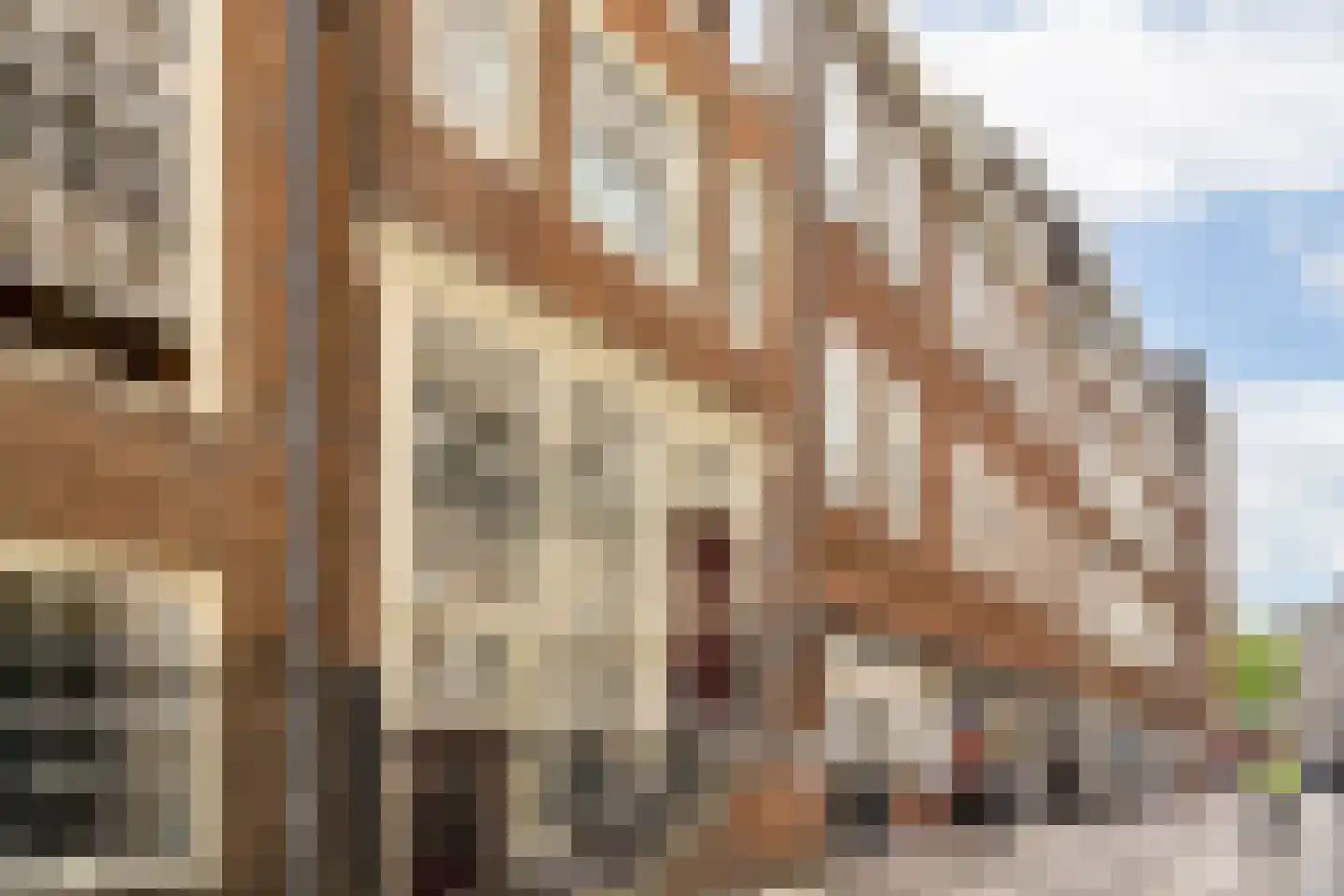Wijdesteeg 3 E in Amsterdam
