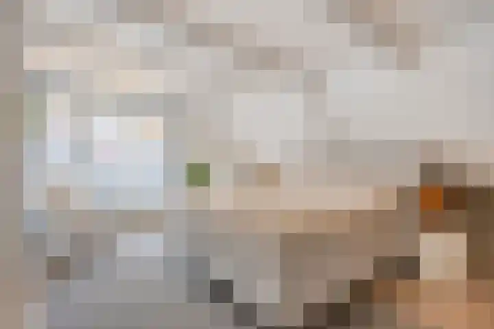 Wijdstraat 24 Oudewater thumbnail 12