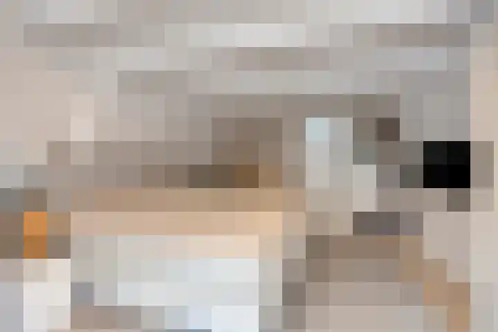Wijdstraat 24 Oudewater thumbnail 11