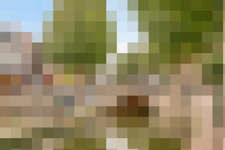 Wijdstraat 24 Oudewater thumbnail 22