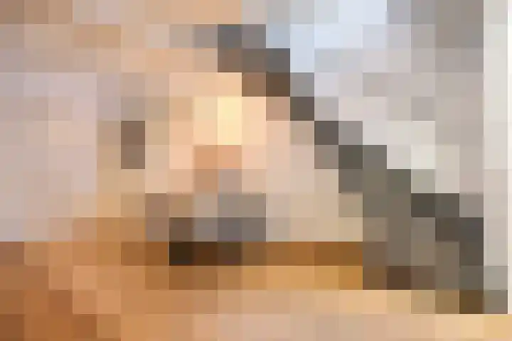 Wijdstraat 24 Oudewater thumbnail 7