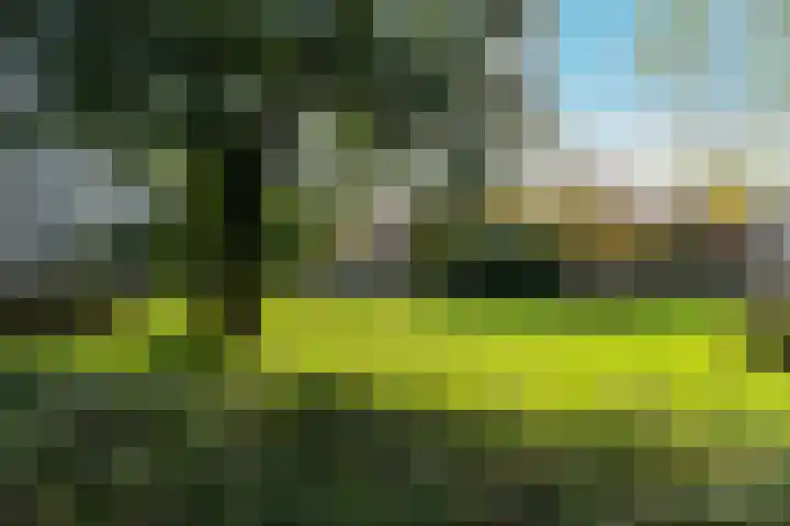 Wijenburg 12 Amsterdam thumbnail 31