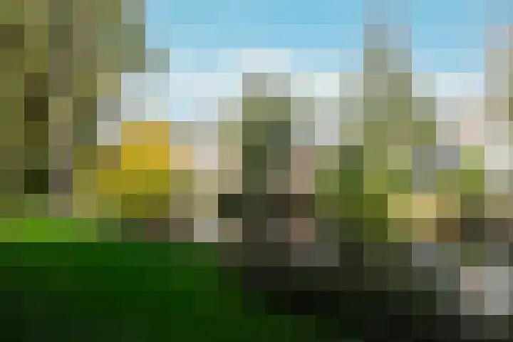 Wijenburg 12 Amsterdam thumbnail 33