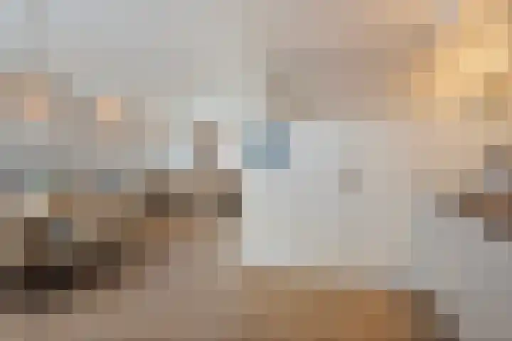 Wijenburg 27 Eindhoven thumbnail 18