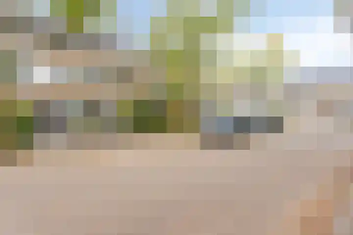 Wijenburg 27 Eindhoven thumbnail 7