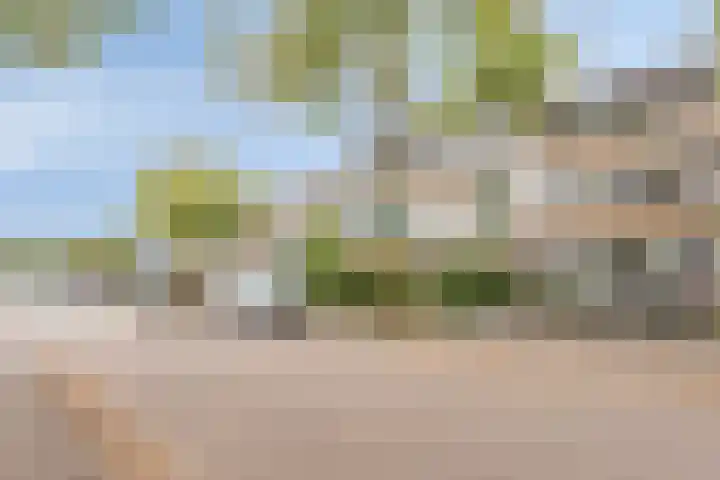 Wijenburg 27 Eindhoven thumbnail 8