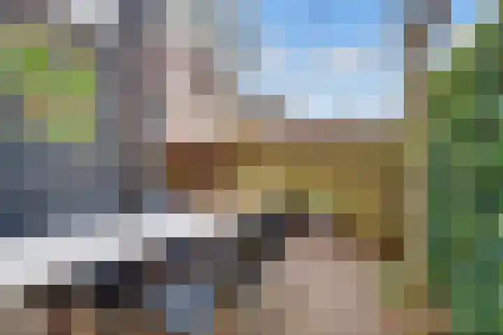 Wijkamplaan 17 Baarn thumbnail 15
