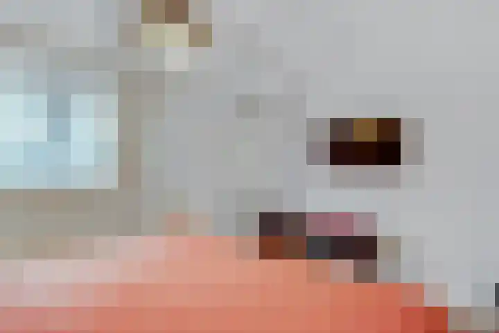 Wijkamplaan 17 Baarn thumbnail 22