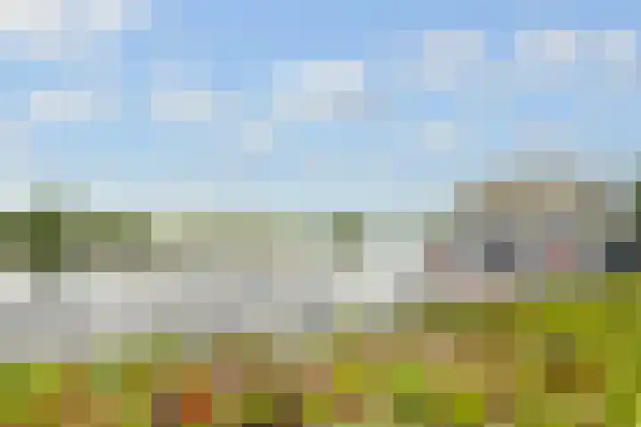 Wijkamplaan 17 Baarn thumbnail 36