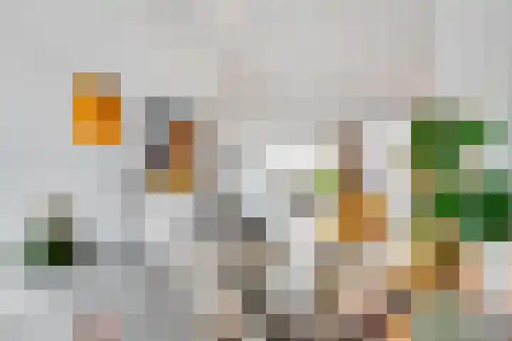 Wijkamplaan 17 Baarn thumbnail 6