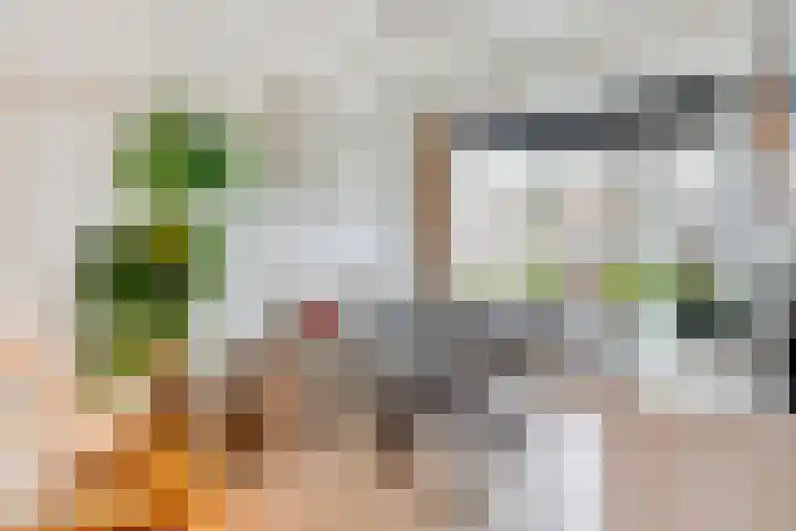 Wijkamplaan 17 Baarn thumbnail 7