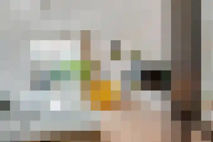Wijkamplaan 17 Baarn thumbnail 8