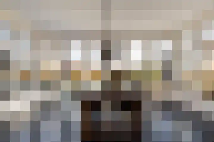 Wijkersloot 8 Cothen thumbnail 4