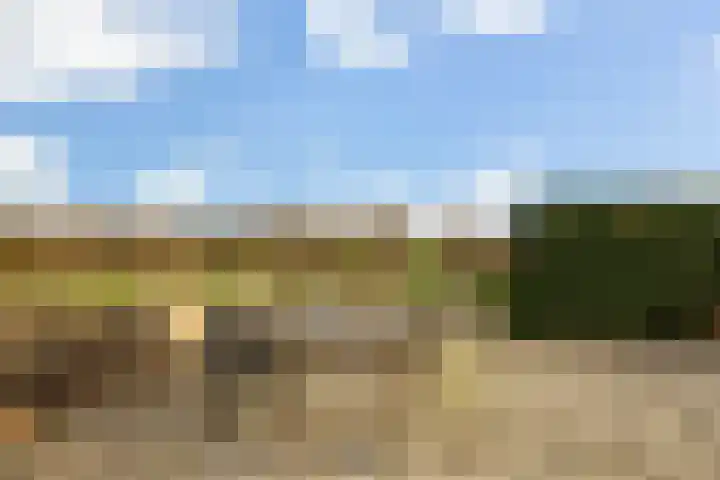 Wijkersloot 8 Cothen thumbnail 43
