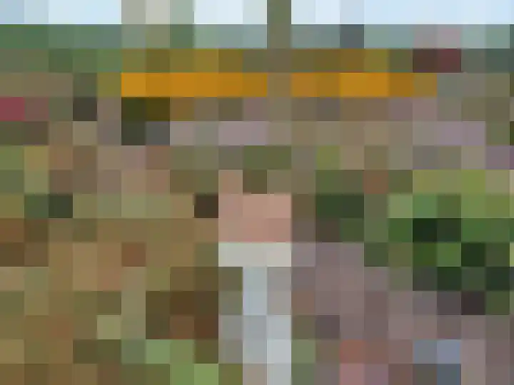 Wijkersloot 8 Cothen thumbnail 47
