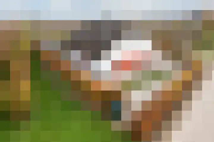 Wijkersloot 8 Cothen thumbnail 56