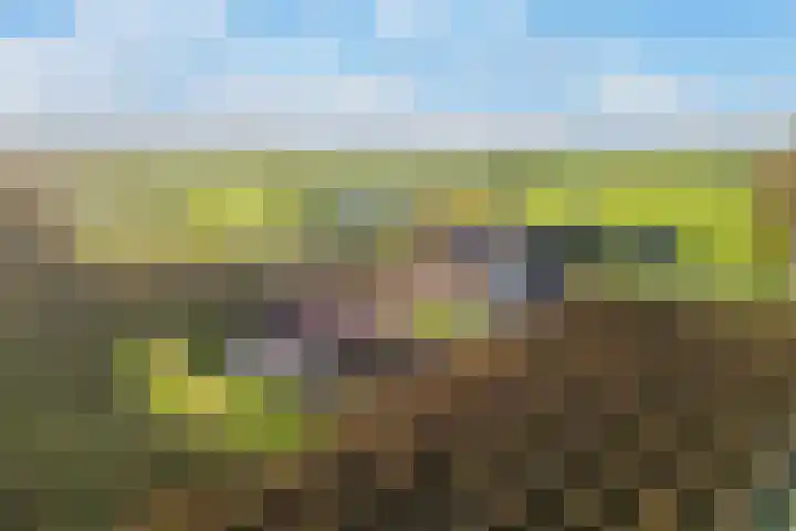 Wijkersloot 8 Cothen thumbnail 59