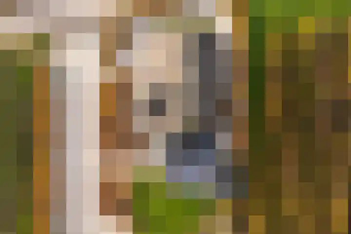 Wijkersloot 8 Cothen thumbnail 64