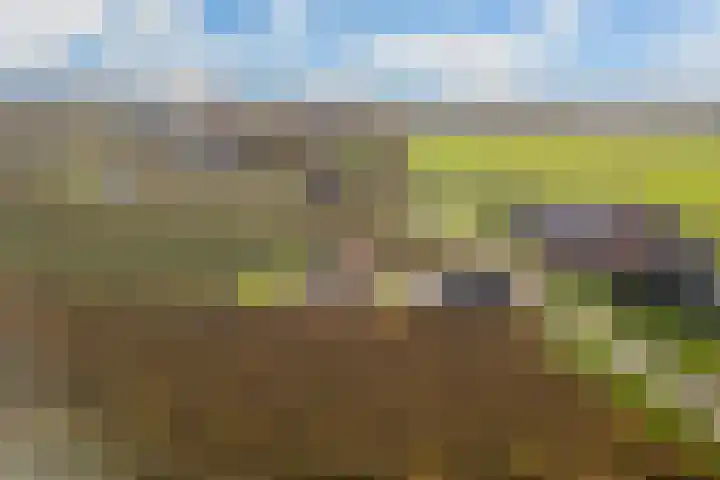 Wijkersloot 8 Cothen thumbnail 66