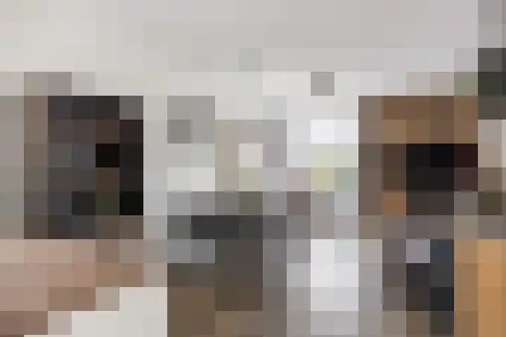 Wijmaheerd 25 Marum thumbnail 17