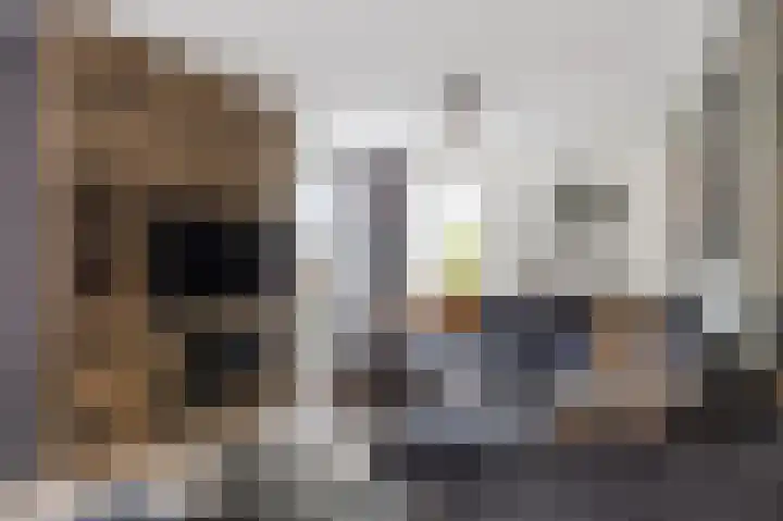 Wijmaheerd 25 Marum thumbnail 19