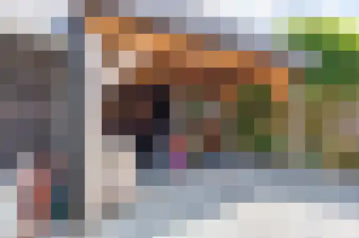 Wijmaheerd 25 Marum thumbnail 47