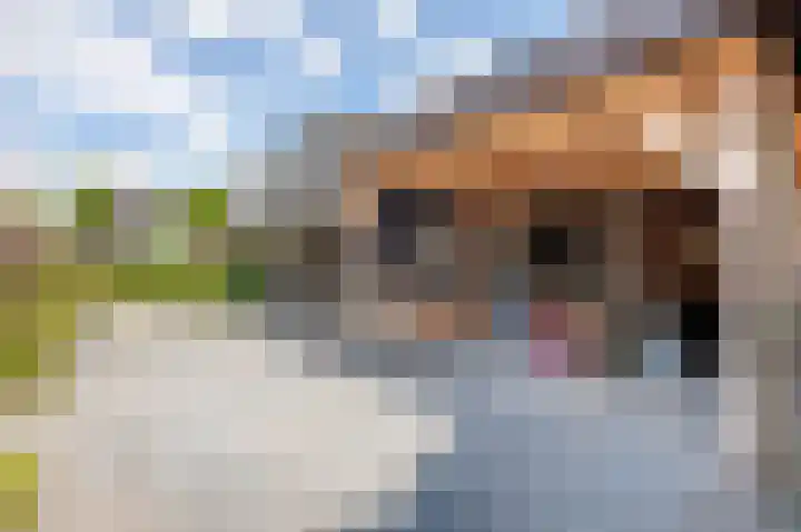 Wijmaheerd 25 Marum thumbnail 5