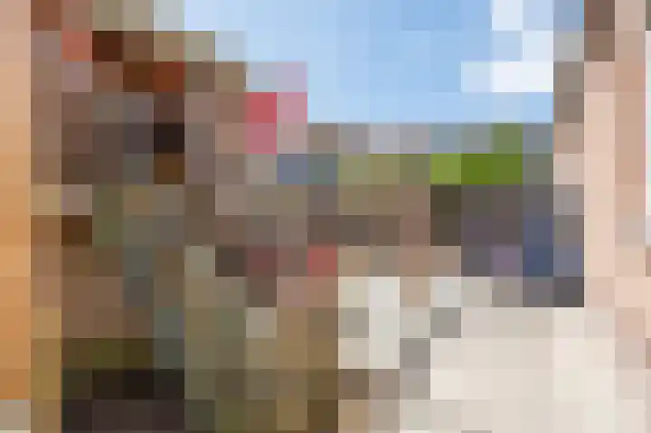 Wijmaheerd 25 Marum thumbnail 53