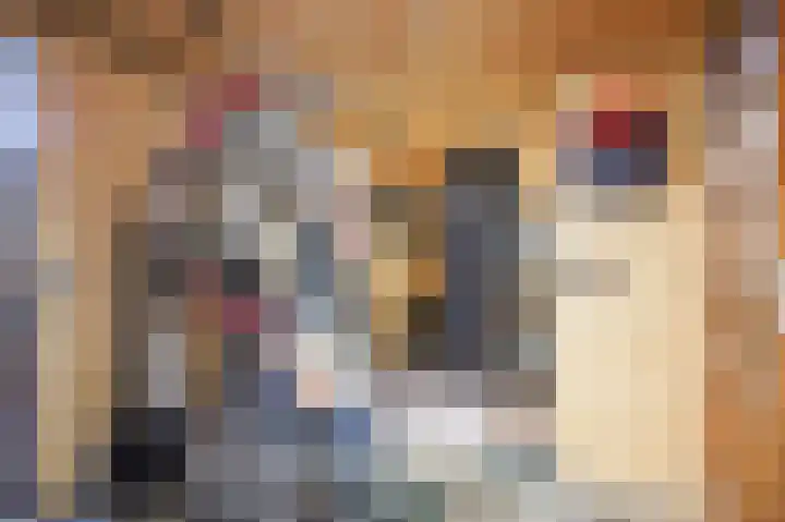 Wijmaheerd 25 Marum thumbnail 60