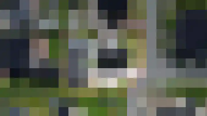 Wijmaheerd 25 Marum thumbnail 64
