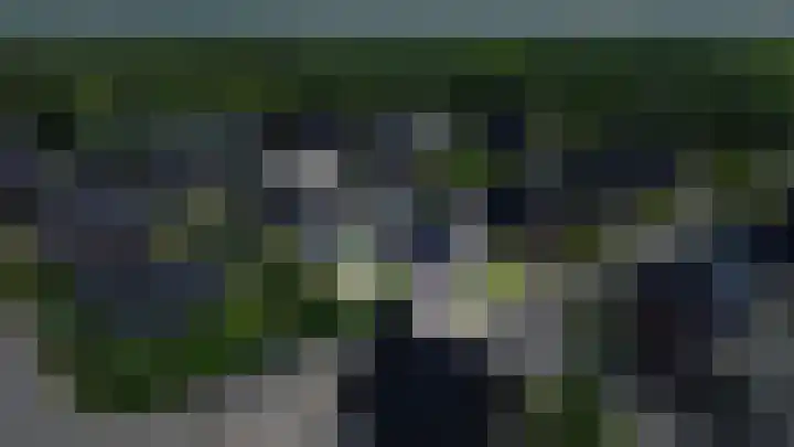 Wijmaheerd 25 Marum thumbnail 65