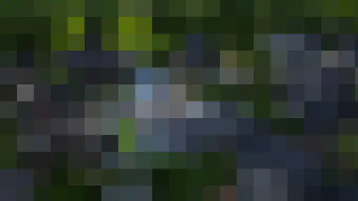 Wijmaheerd 25 Marum thumbnail 66