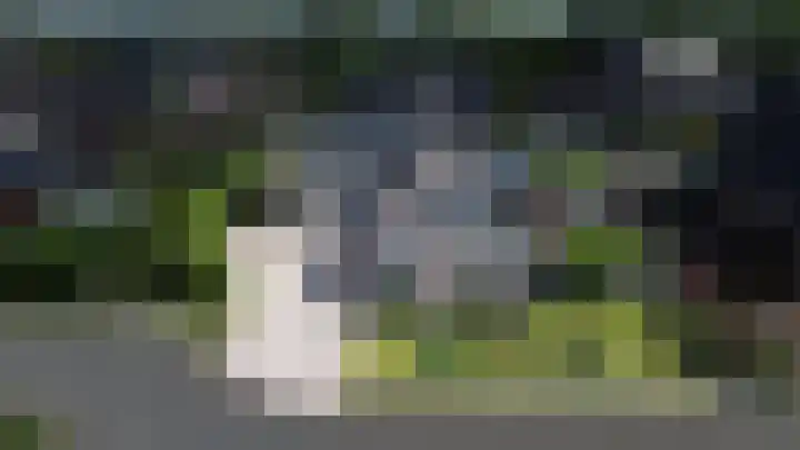 Wijmaheerd 25 Marum thumbnail 67