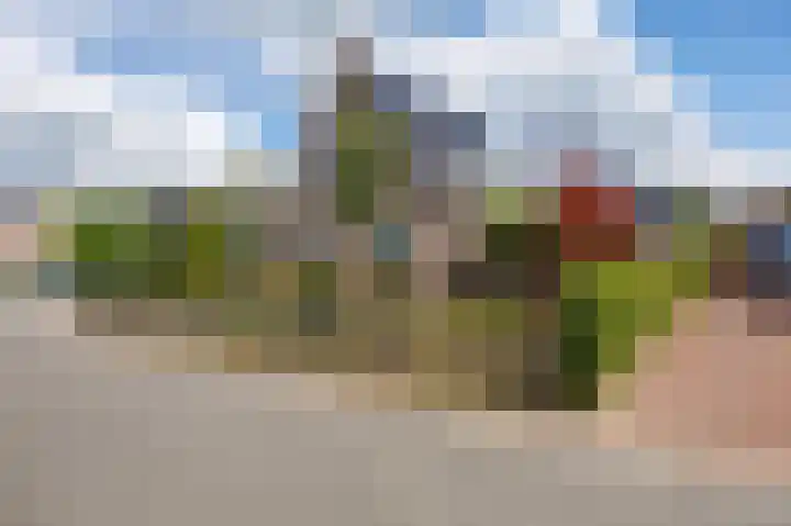 Wijmaheerd 25 Marum thumbnail 69