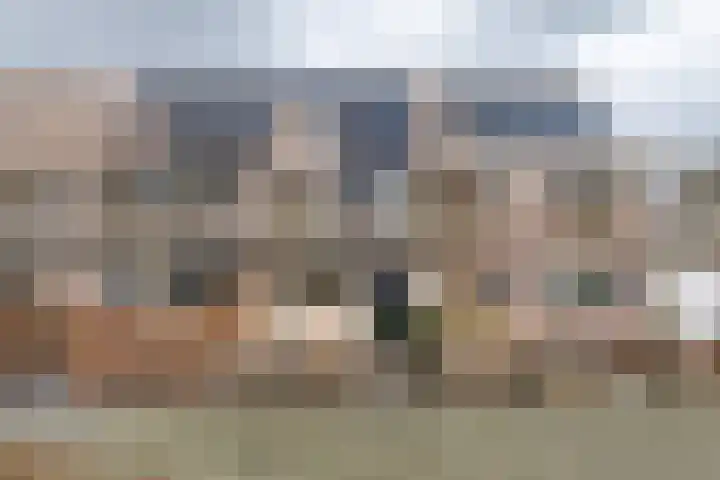 Wijnakker 6 dans Barneveld