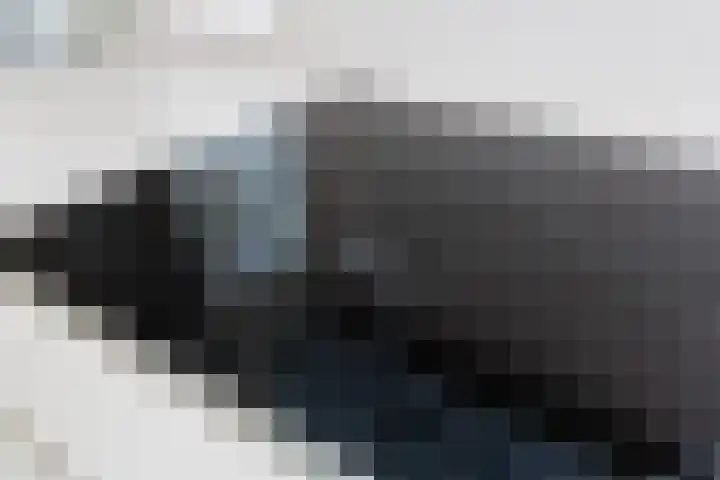 Wijnberg 20 Zoetermeer thumbnail 16