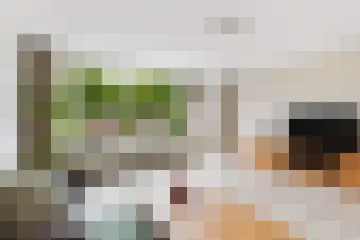 Wijnberg 20 Zoetermeer thumbnail 21