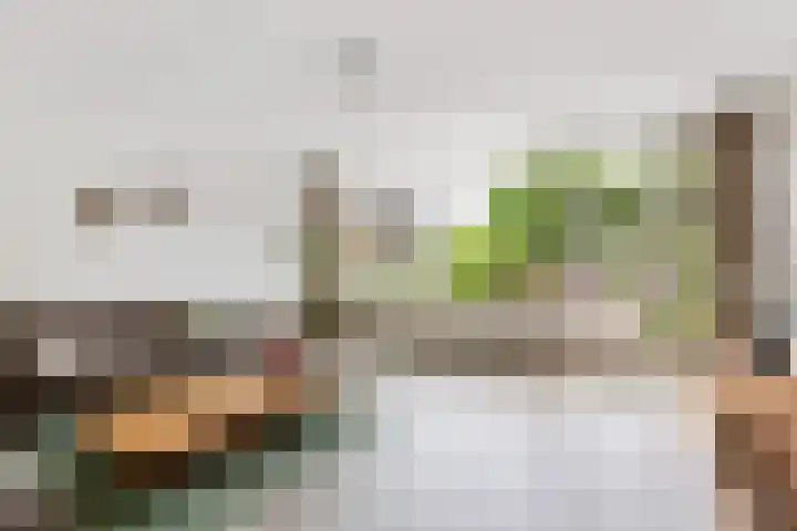 Wijnberg 20 Zoetermeer thumbnail 22