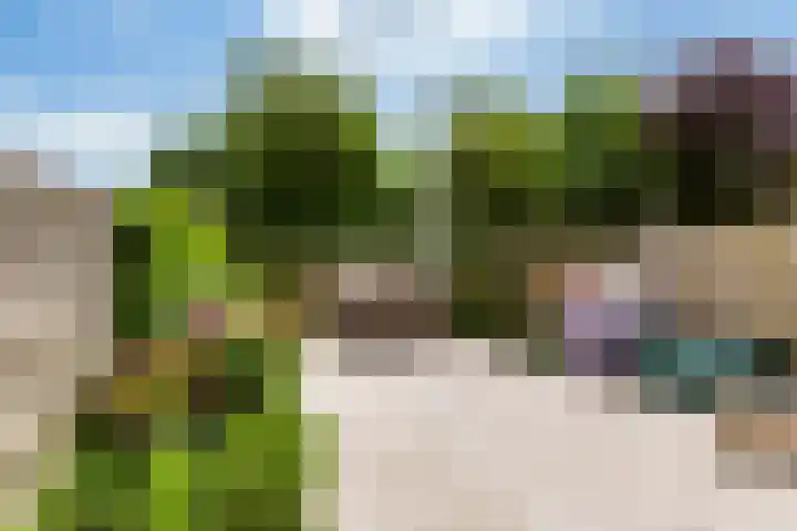 Wijnberg 20 Zoetermeer thumbnail 24