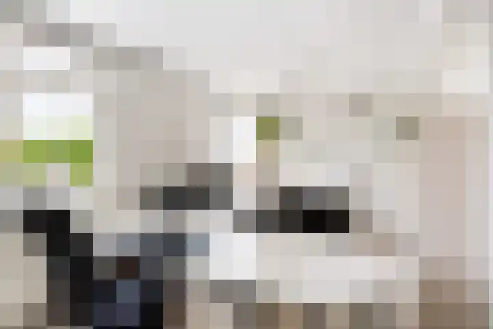 Wijnberg 20 Zoetermeer thumbnail 33