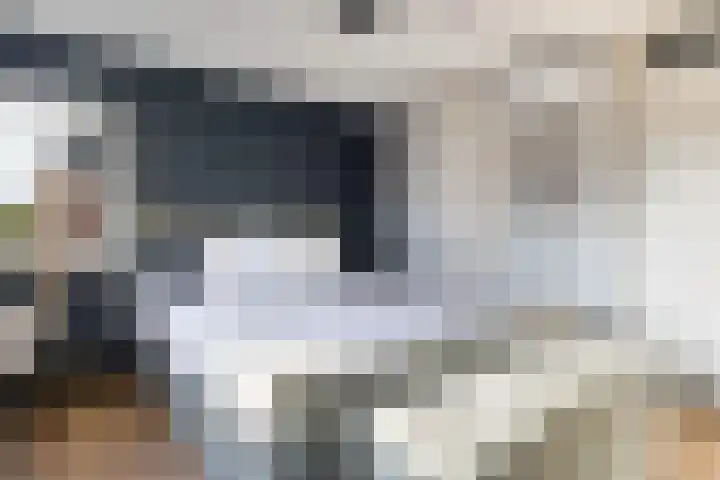 Wijnberg 20 Zoetermeer thumbnail 34