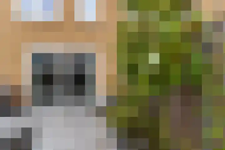 Wijnberg 20 Zoetermeer thumbnail 38