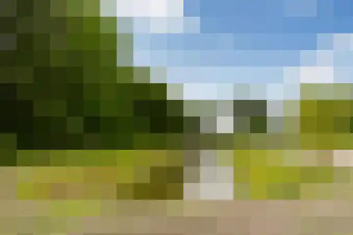 Wijnberg 20 Zoetermeer thumbnail 42